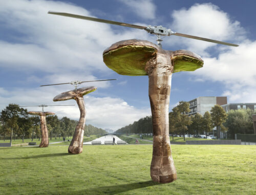 Ling Zhi Helicopters