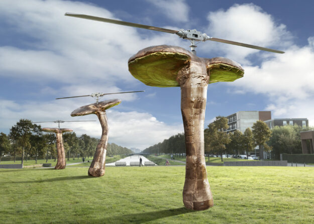 Ling Zhi Helicopters